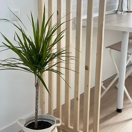 Apartamento Mirador Templario Jerez De Los Caballeros