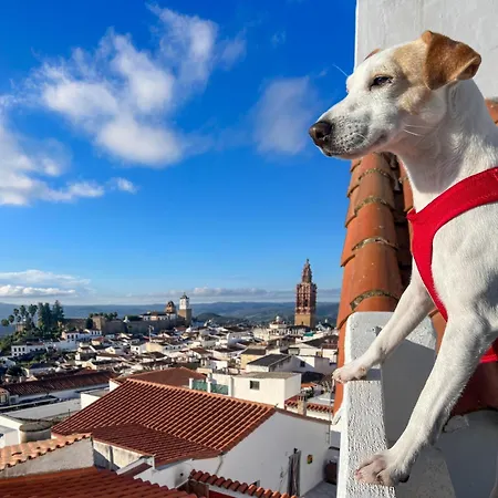 Appartamento Mirador Templario Jerez De Los Caballeros