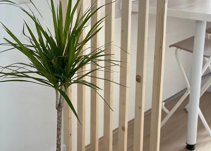 Apartamento Mirador Templario Jerez De Los Caballeros